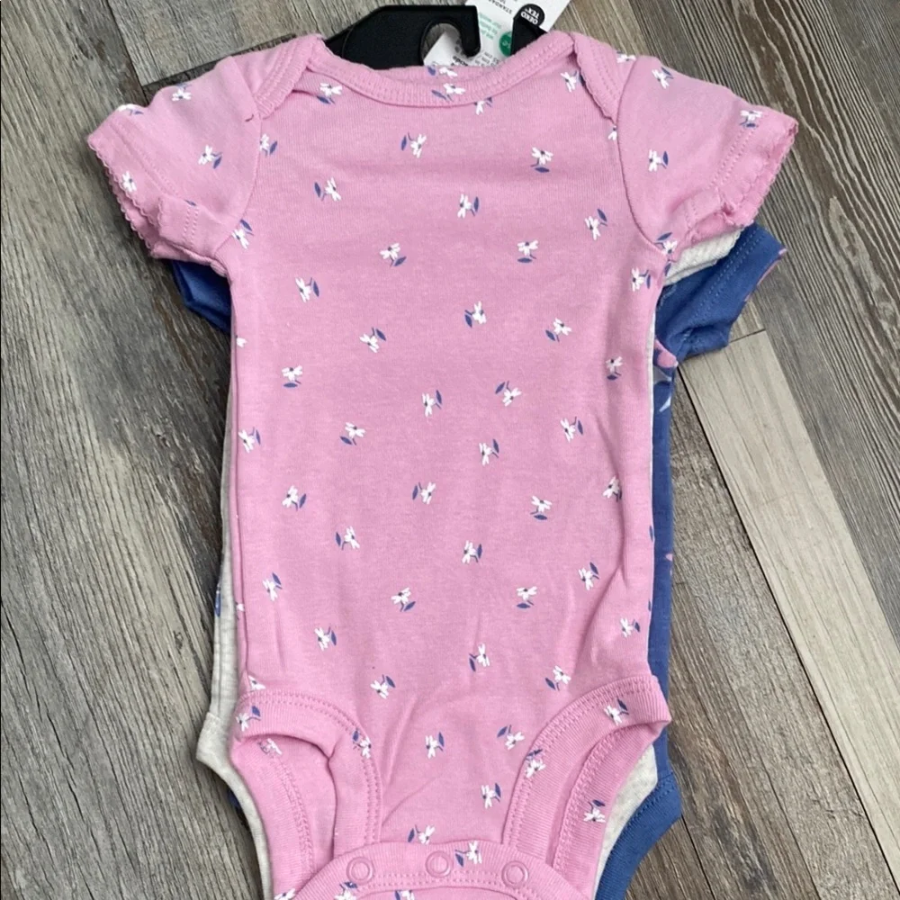 Set of 3 Carter's Blue and Pink Floral Bodysuit Set